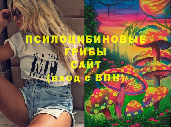 сатива Лабытнанги